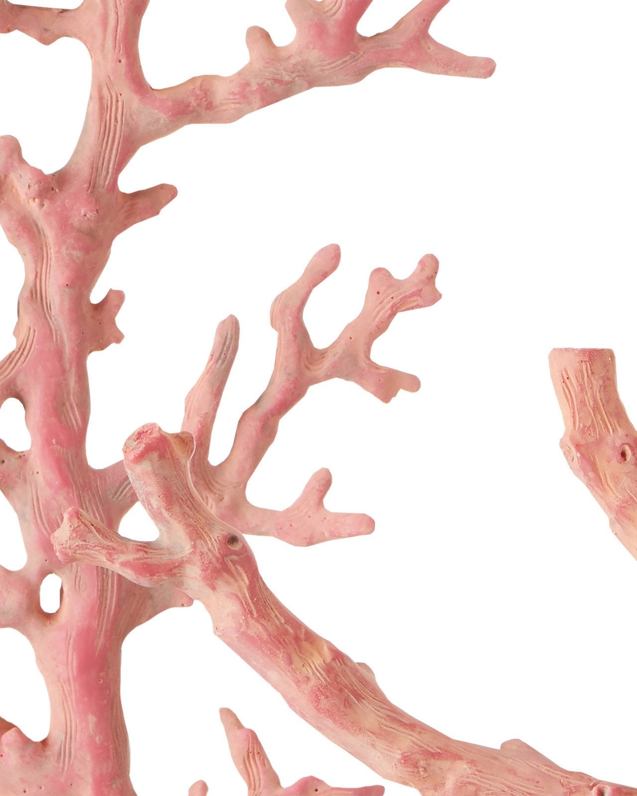 Large Red Coral Branches Set of 3